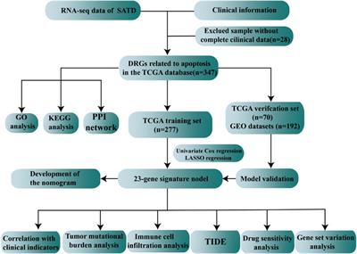 Application of apoptosis-related genes in a multiomics-related prognostic model study of gastric cancer